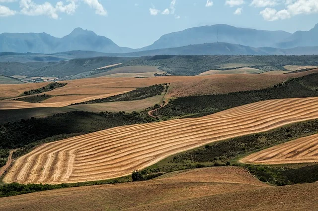 Campagna assicurativa Primavera-Estate 2025.